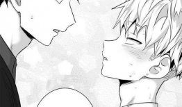 bl完结漫画,情感纠葛与成长之旅