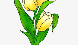 郁金香漫画,一场穿越时空的奇幻之旅