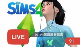 91直播怎么录视频,轻松掌握视频生成技巧