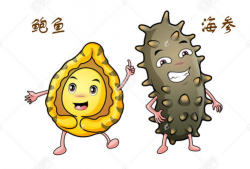 漫画海参,海洋深处的“软黄金”传奇